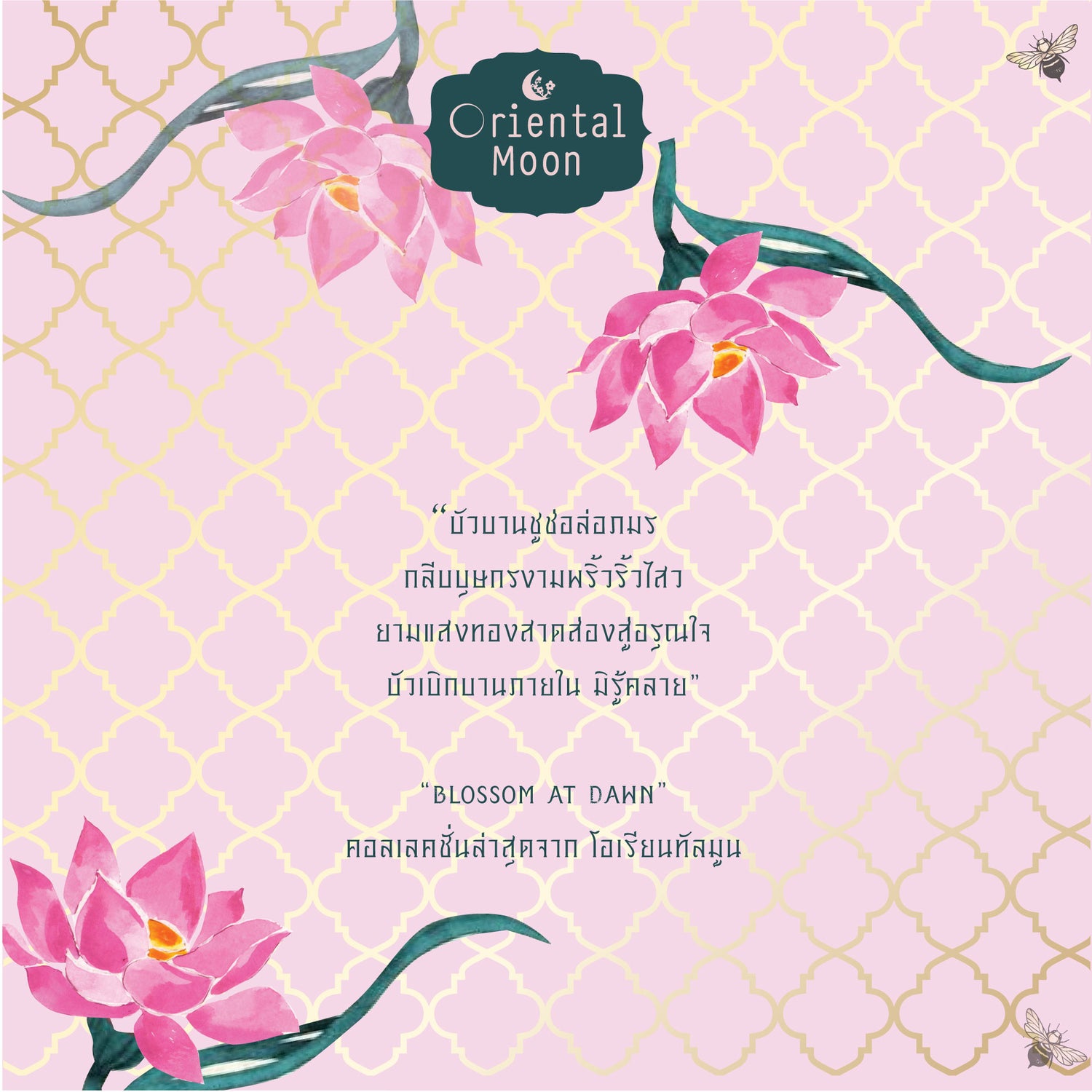 Lotus Collection